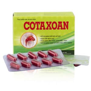 COTAXOAN VIÊN – Giúp tăng lưu thông phế khí trong cơ thể, thông mũi xoang.