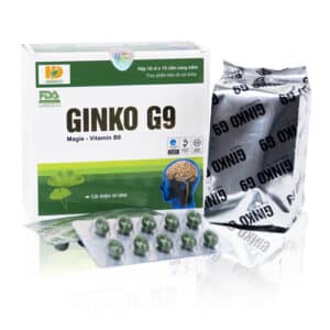 GINKO G9